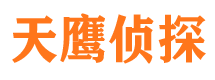 方山市侦探公司